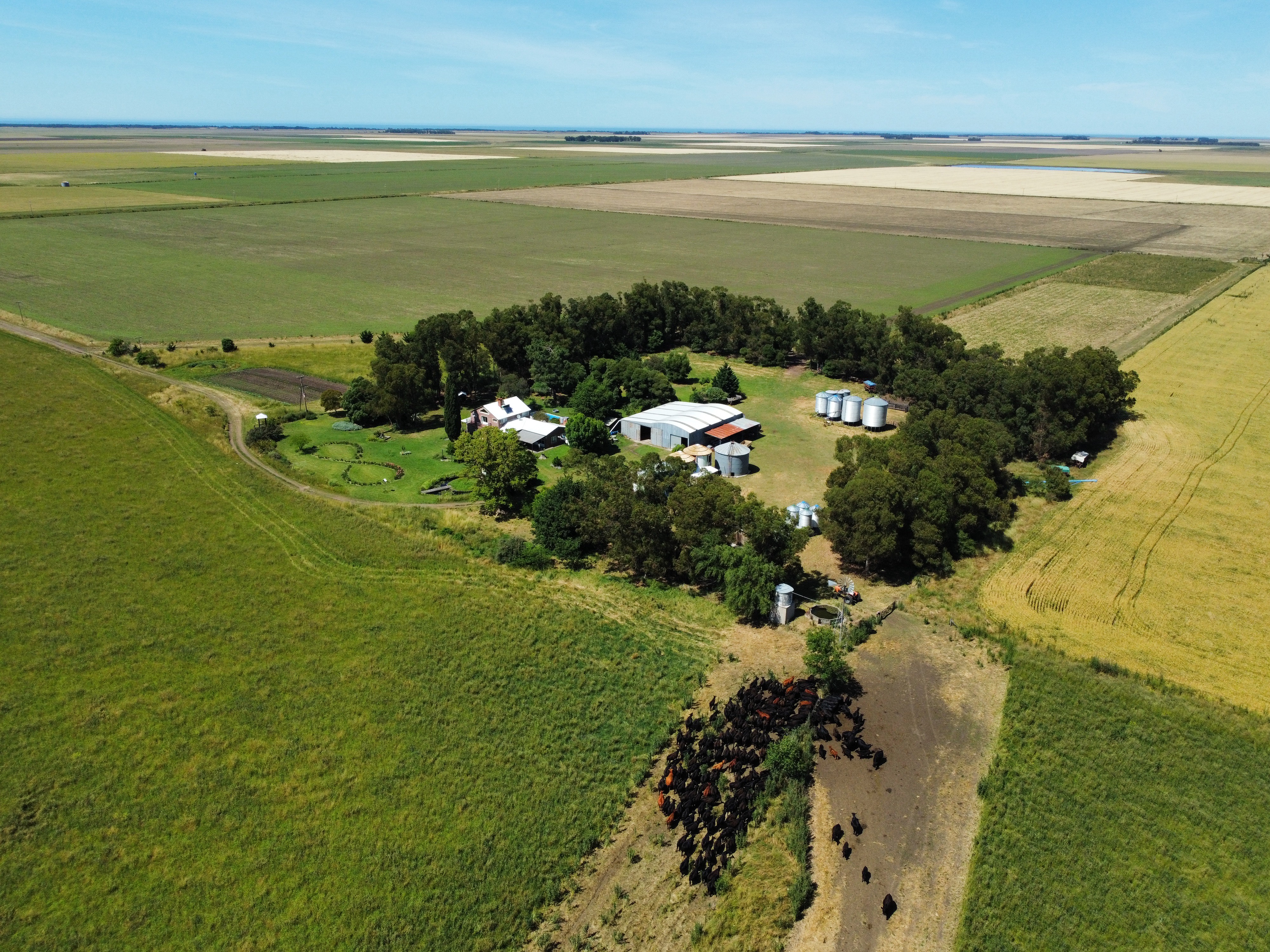 dji_fly_20251202_104100_714_1765328450151_photo_optimized