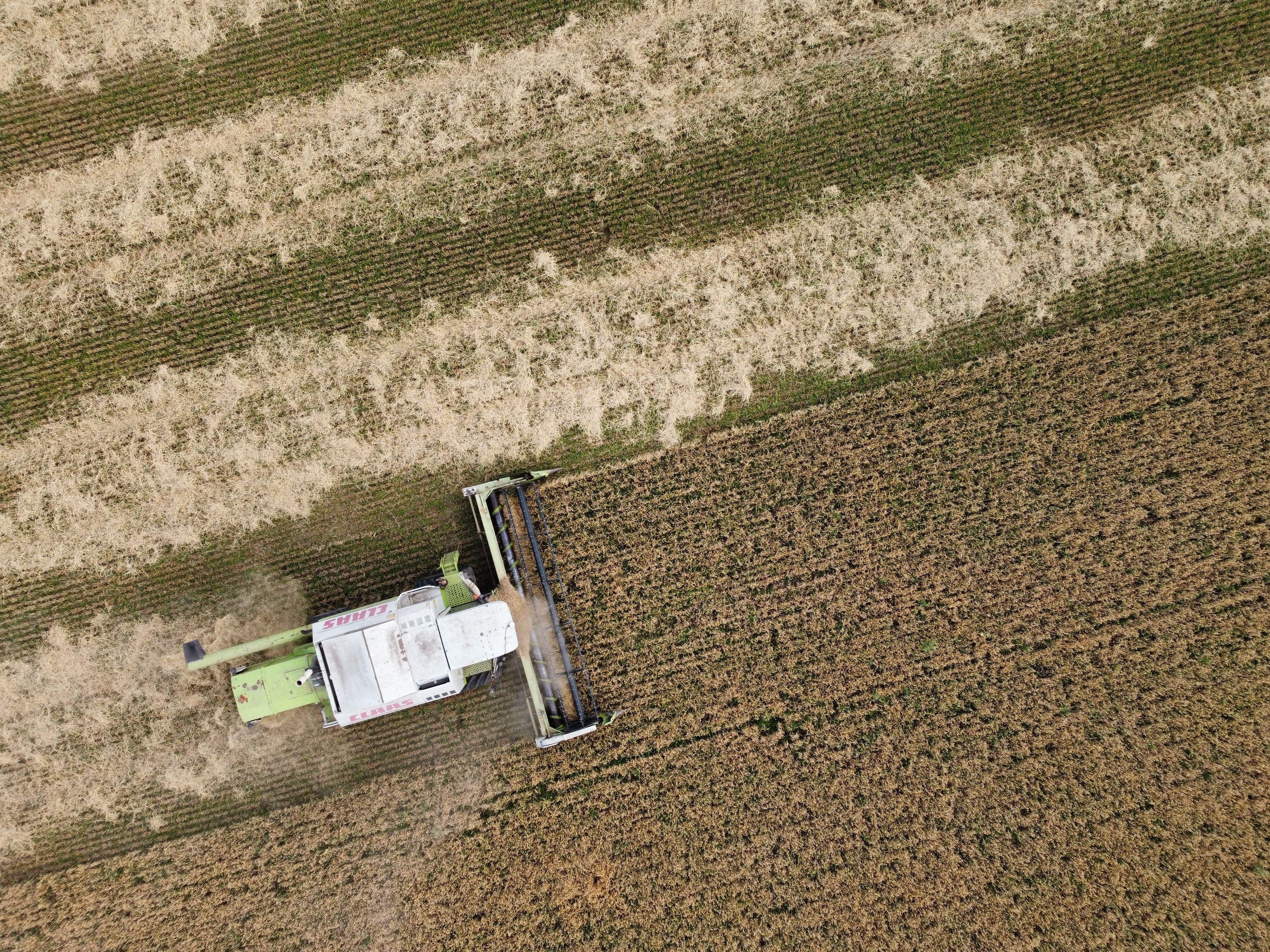 dji_fly_20251209_193444_763_1765328432342_photo_optimized